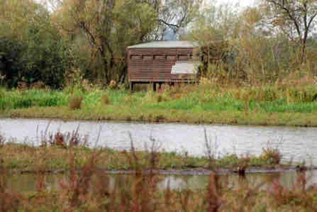 הוילה Leigh  The Loft At The Croft - Stunning Rural Retreat Perfect For Couples & Dogs מראה חיצוני תמונה